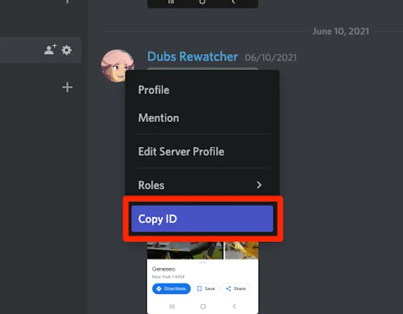 Discord ID copy example